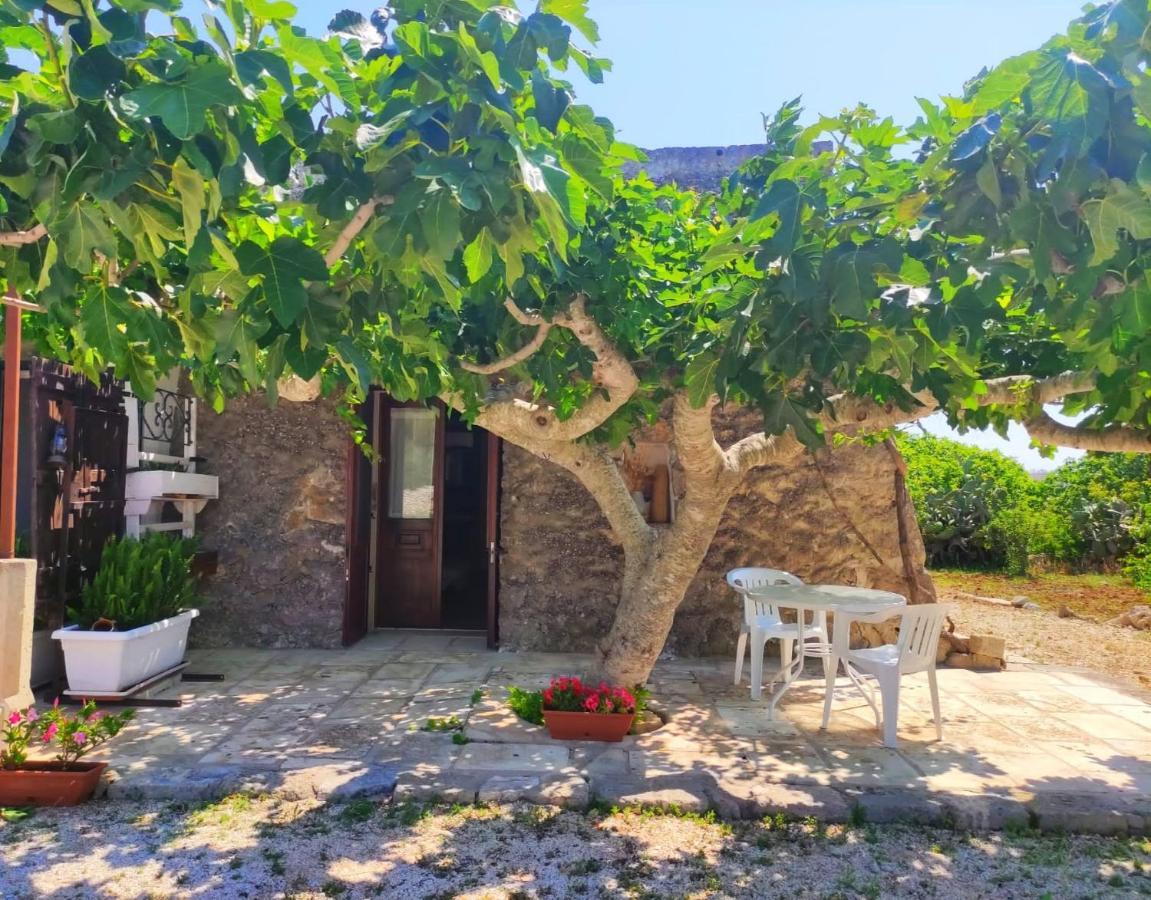 Palacca, Trullo Salentino Andrano Dış mekan fotoğraf